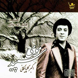 موی سپیدو توی اینه دیدم گلپا