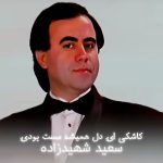 آهنگ کاشکی ای دل همیشه مست بودی سعید شهیدزاده آهنگ کاشکی ای دل همیشه مست بودی سعید شهیدزاده