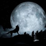 آهنگ حتی از ننه بابا پشتوانه نبود شایع آهنگ حتی از ننه بابا پشتوانه نبود شایع