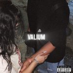 آهنگ تو دلت را خانه من کن صفایش با من از زانا آهنگ تو دلت را خانه من کن صفایش با من از زانا