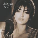 دانلود آهنگ کردی دلم از پروا اصیل
