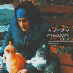 آهنگ گربه ای که توی پارک از TheShey آهنگ گربه ای که توی پارک از TheShey